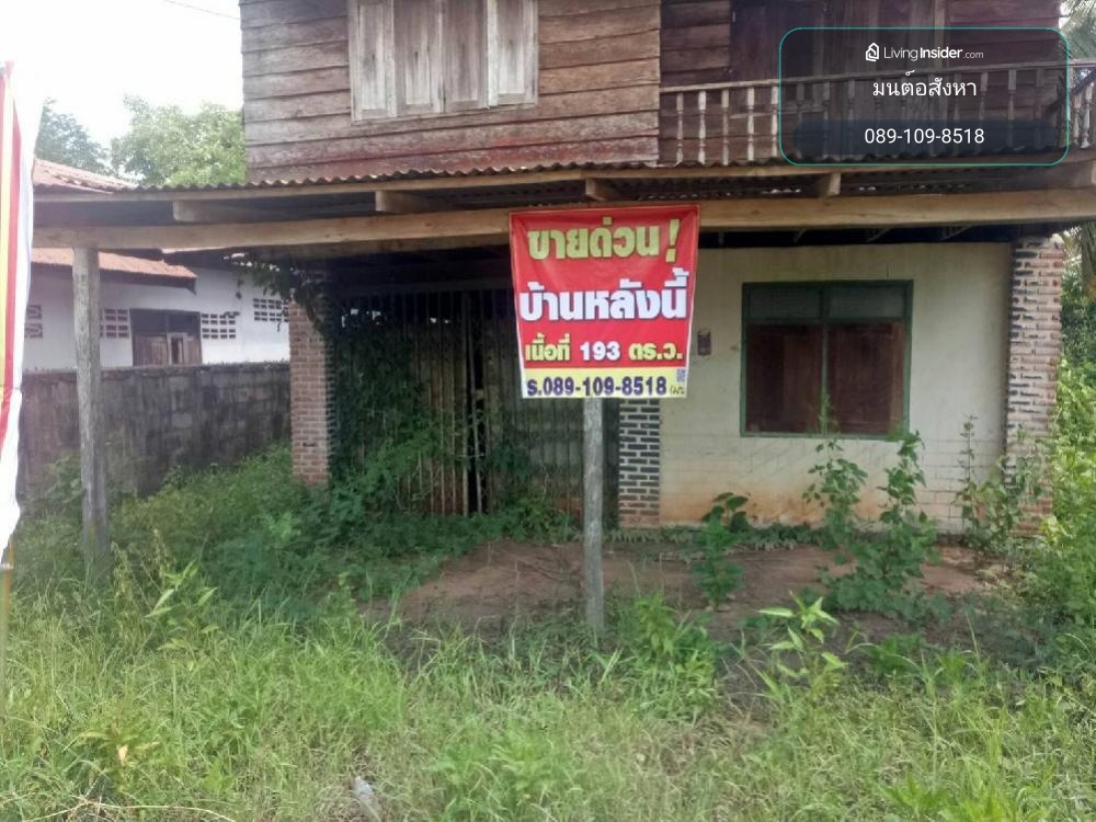 ​ขายที่ดินแปลงมุม 193 วา² พร้อมบ้านไม้เก่า ราคาหลักแสน จ.อุดรธานี กู้ไม่ผ่านก็ซื้อได้! ผ่อนตรง 5,000 บาท/เดือน รับคุยทุกเงื่อนไข – รูปที่ 2