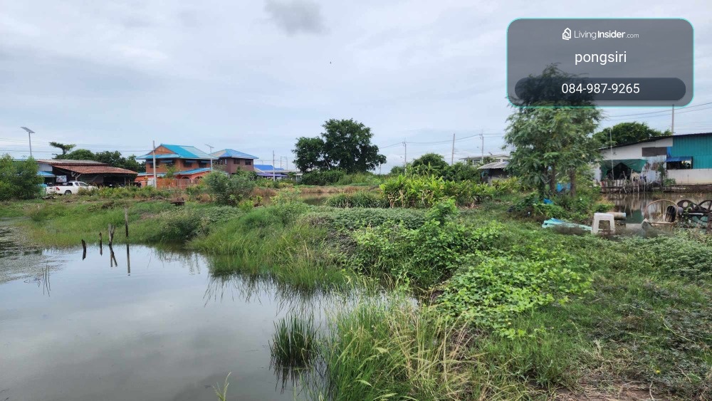 ขายที่ดิน ที่ดินเปล่า 32 ไร่ บางเพรียง บางบ่อ สมุทรปราการ เหมาะทำโครงการจัดสรร – รูปที่ 2
