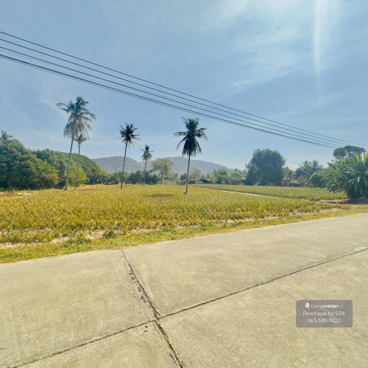 Land for sale, beautiful plot, on two sides of the road, area 6351.3