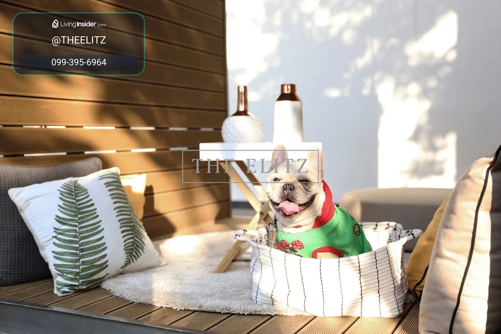 ✨  The Ultimate Paradise for You and Your Furry Friends! Modern Luxury Unit with Spectacular Sweeping  Green Views ✨ – รูปที่ 2