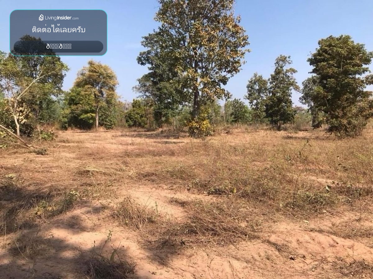 Land for sale in the amount of 2 rai – รูปที่ 2