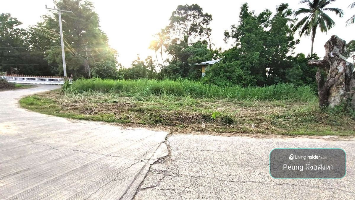 ที่ดินพิษณุโลก บึงพระ 1-3-55  ไร่ หน้าติดถนน หลังติดน้ำ – รูปที่ 2
