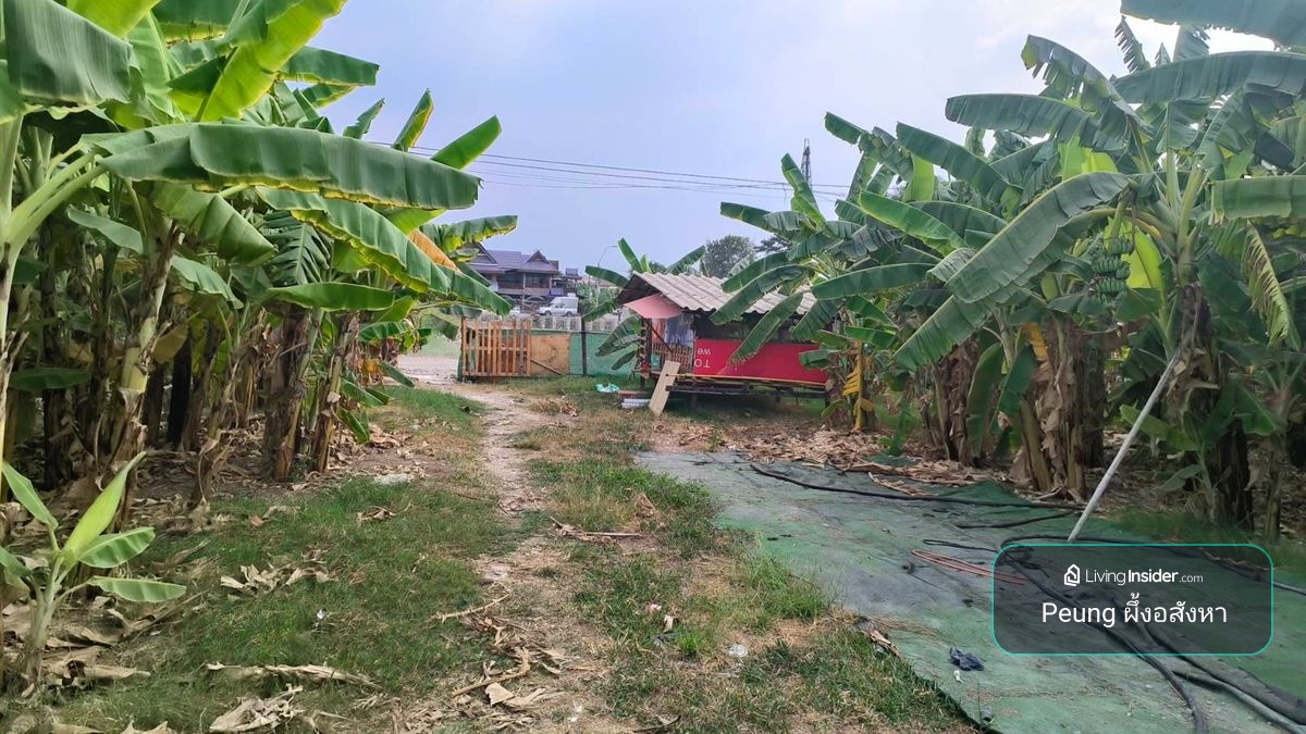 Land for sale 600 sq. Wah, near Rangsit Mueang Ek, Pathum Thani Province – รูปที่ 3