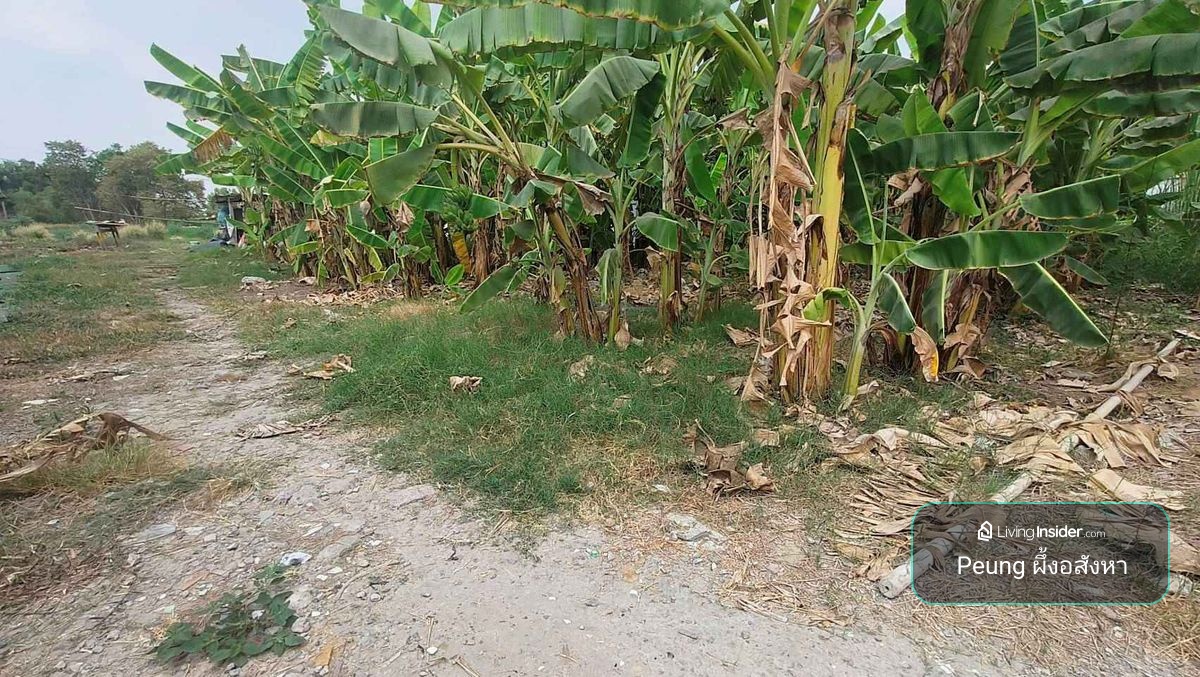 Land for sale 600 sq. Wah, near Rangsit Mueang Ek, Pathum Thani Province – รูปที่ 4