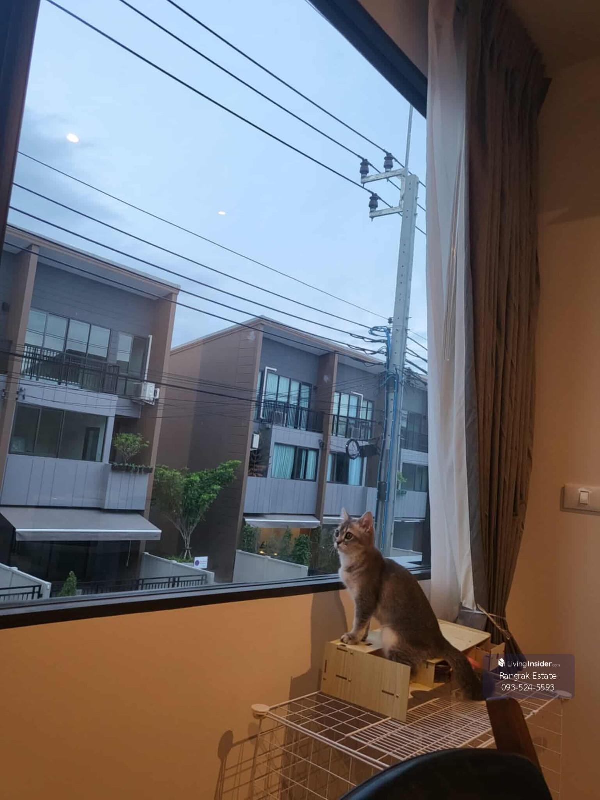 💥CP-9268💥 Townhome for rent, Baan Klang Muang Sukhumvit - Onnut, built-in, complete with furniture and appliances 👉 Add Line @mastercondo Loading...