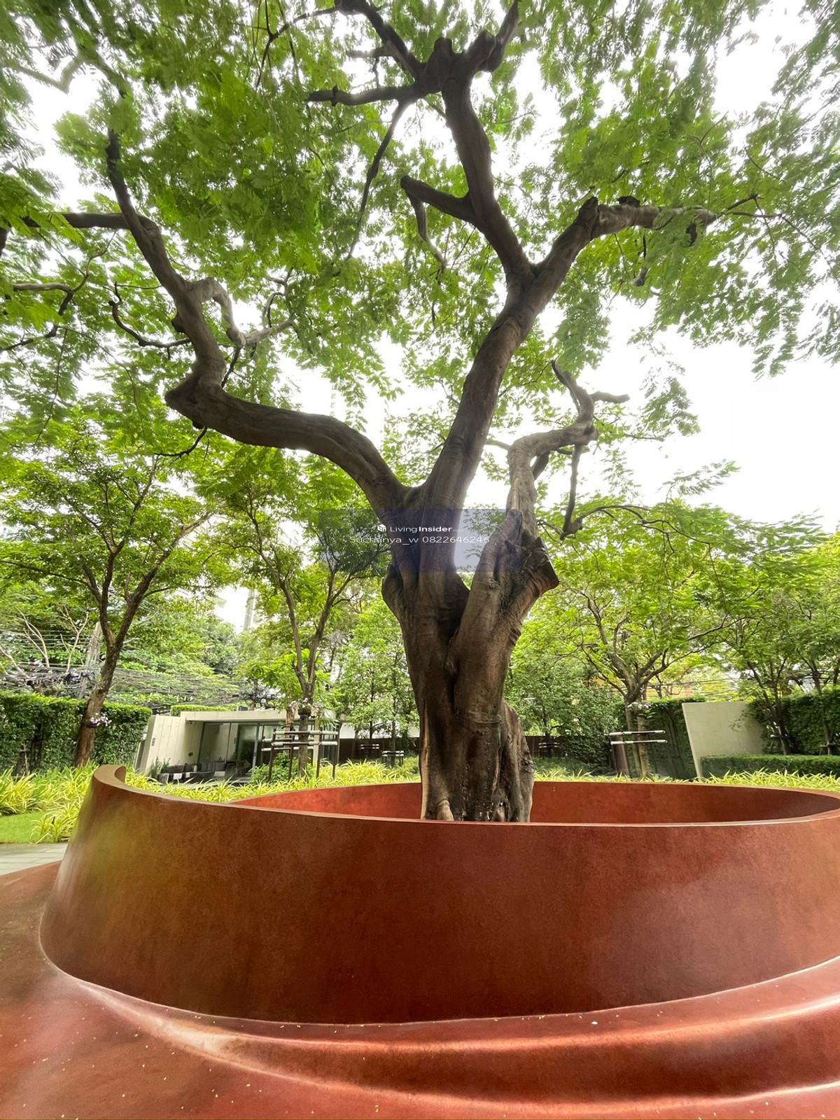 🌟READY TO MOVE 3 Bed 3Baths HIGH Floor at Kraam Sukhumvit 26 🌟 Loading...