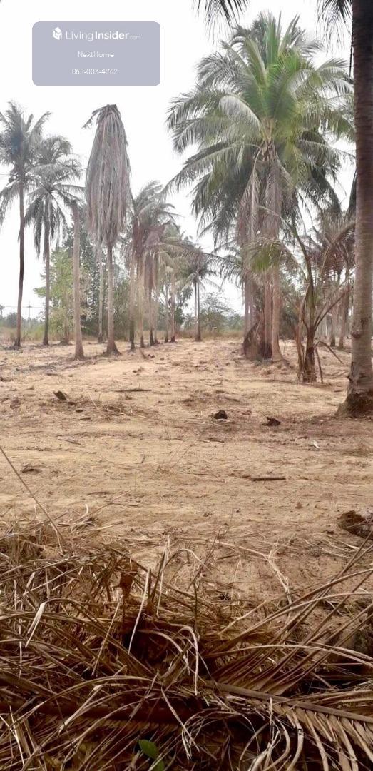 🔥Urgent Sale🔥Land at a special price💥Near Pattaya, Pong Subdistrict, Bang Lamung, Chonburi. Land next to public land, near the motorway. Loading...