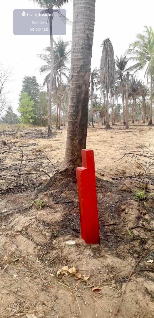 🔥Urgent Sale🔥Land at a special price💥Near Pattaya, Pong Subdistrict, Bang Lamung, Chonburi. Land next to public land, near the motorway. Loading...