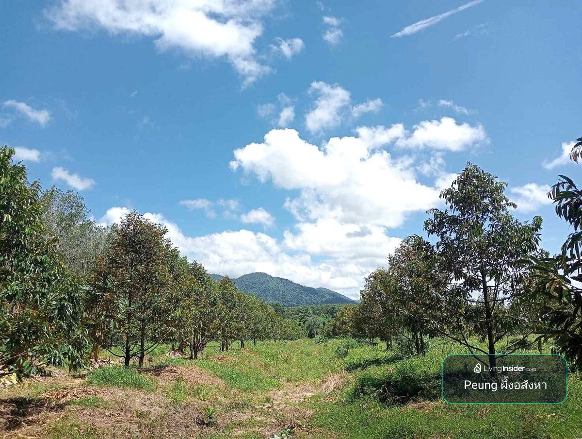Land for durian orchard, rubber plantation, Thai style house, 656-2-88 rai, next to water canal, Mueang District, Chanthaburi Province. – รูปที่ 2