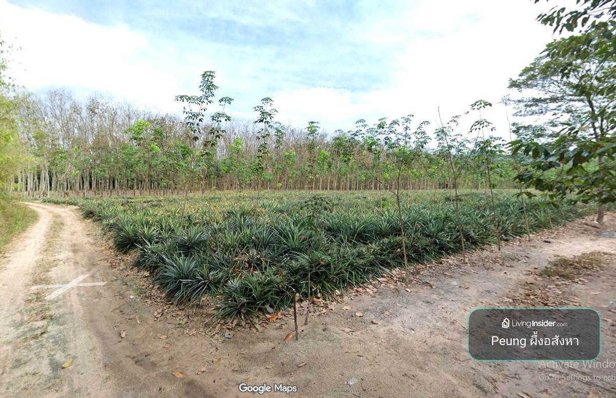 ที่ดินบ้านค่ายระยอง 24-3-18.8 ไร่ ใกล้นิคมโรจนะบ้านค่าย และ WHA IER มากๆ – รูปที่ 3