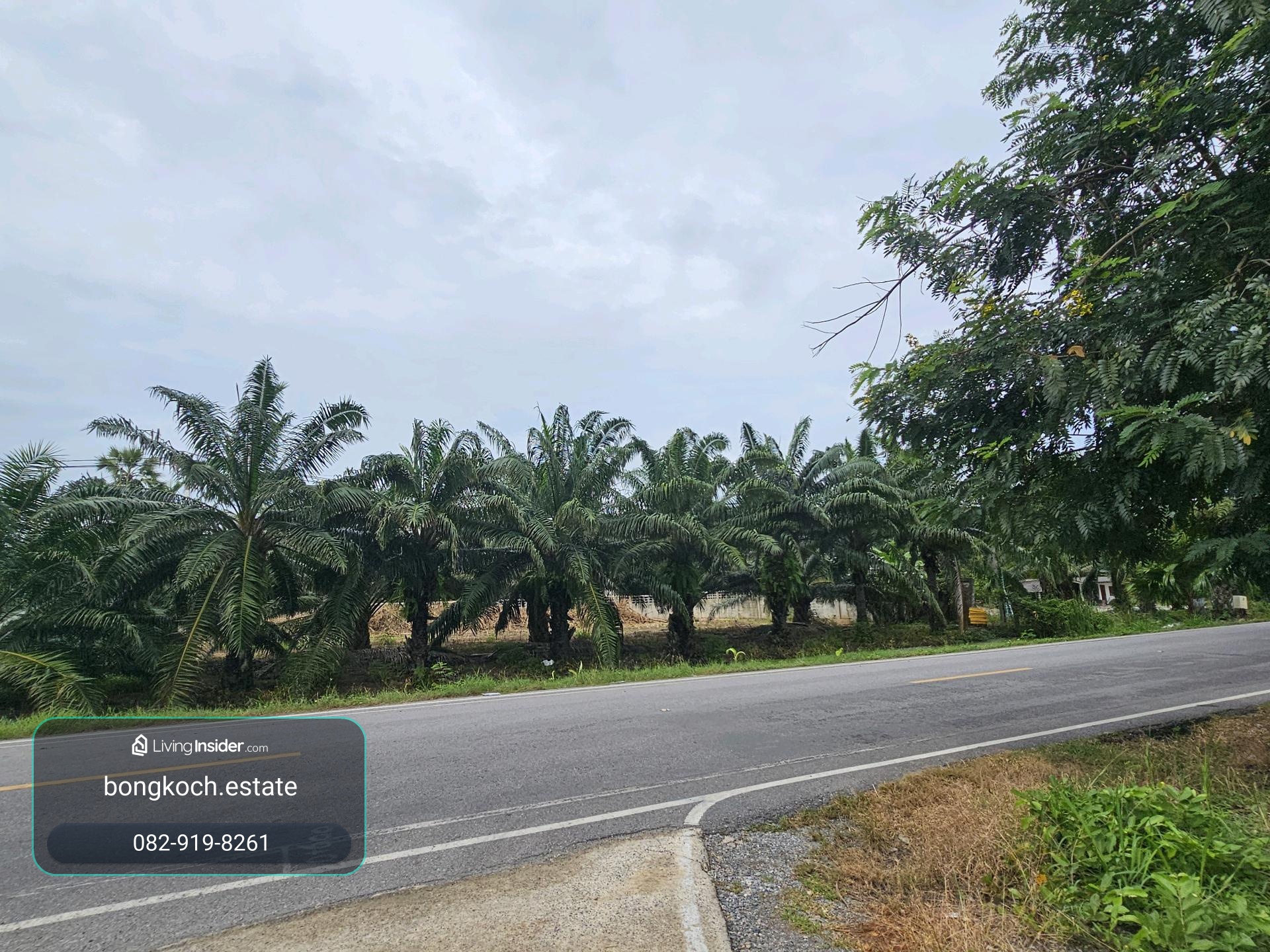 Land for sale on Surat Thani Road in the tourist area of ​​Kanchanadit District. – รูปที่ 4