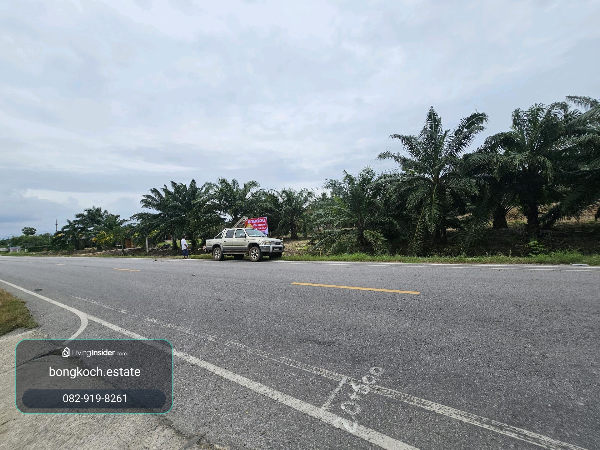 Land for sale on Surat Thani Road in the tourist area of ​​Kanchanadit District. – รูปที่ 2