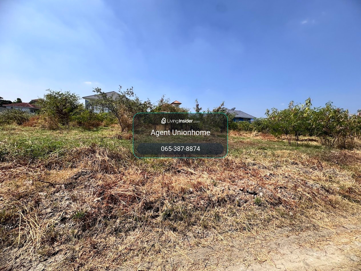 Land for rent, 200 square meters, near Wat Palat Priang. Buanakarin Road, Samut Prakan (N.1935) – รูปที่ 3