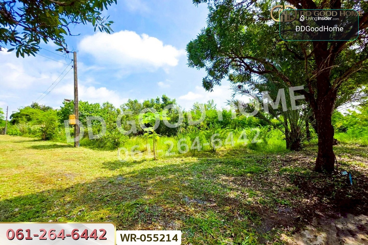 WR-055214 Land with buildings in Don Tum, Nakhon Pathom, 3 rai 207 sq.wa. – รูปที่ 3