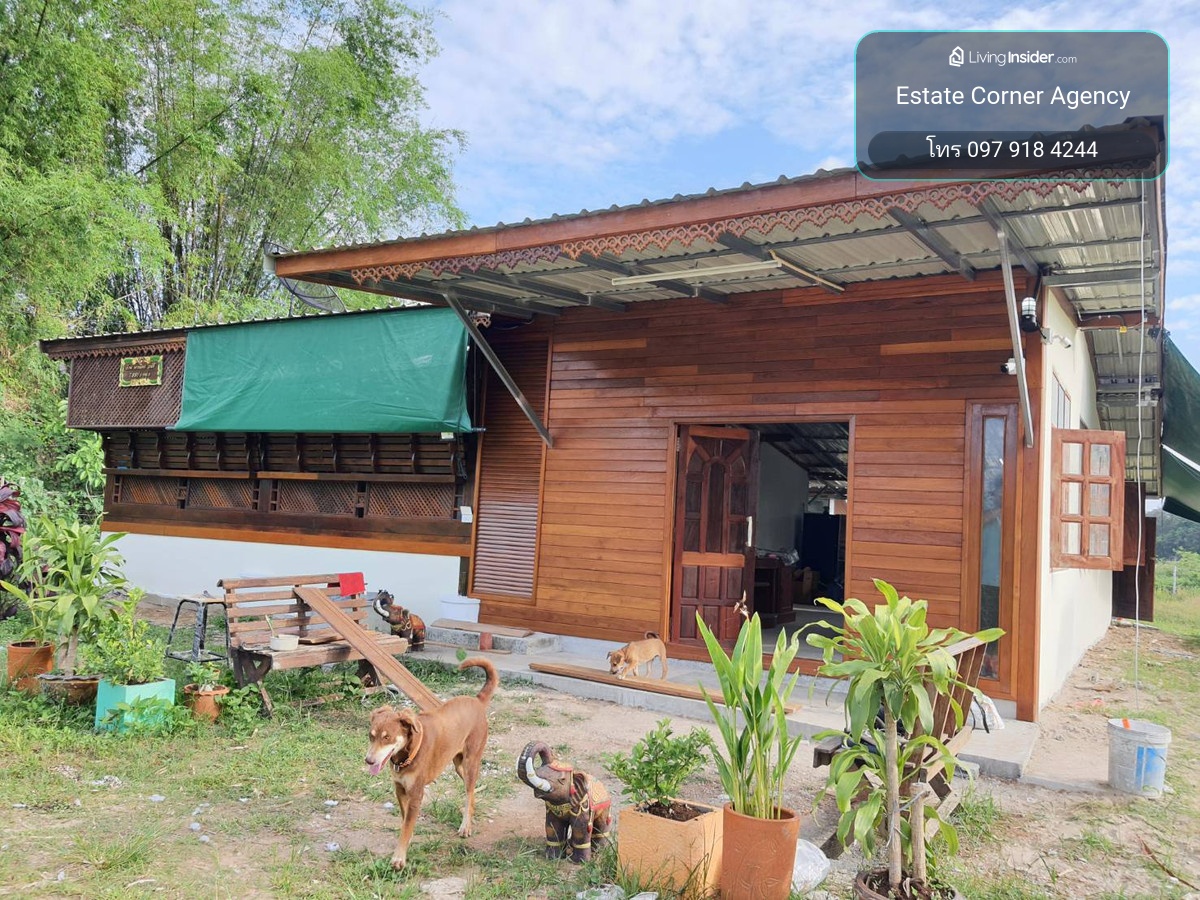 95685 - Large plot of land for sale, 33 rai, near the Mekong River. Si Chiang Mai District, Nong Khai Province – รูปที่ 4