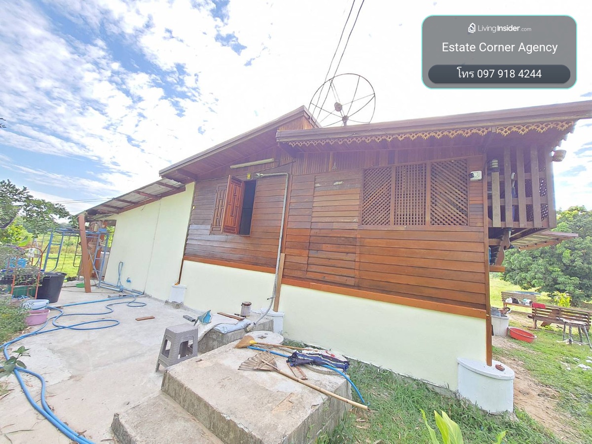 95685 - Large plot of land for sale, 33 rai, near the Mekong River. Si Chiang Mai District, Nong Khai Province – รูปที่ 2