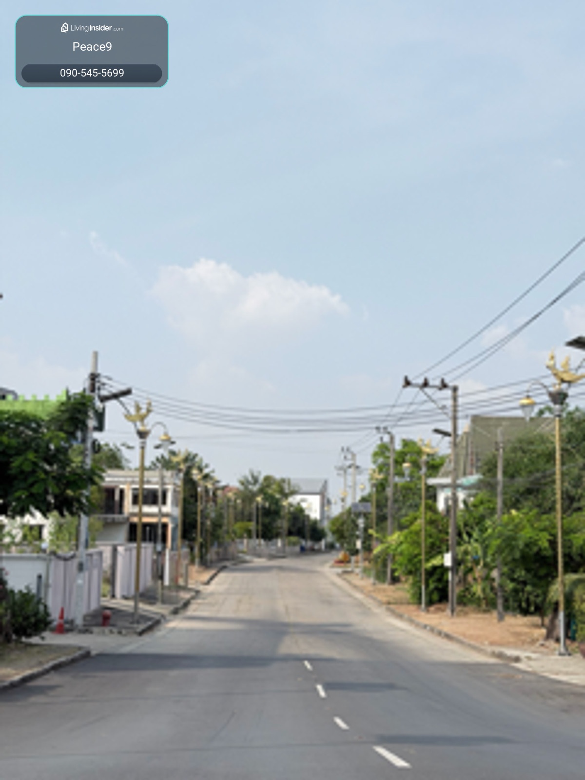 ขายที่ดิน แปลงสวย หมู่บ้านกรีนเลค ที่ดินบางพลี ขายที่ดินบางนา – รูปที่ 4