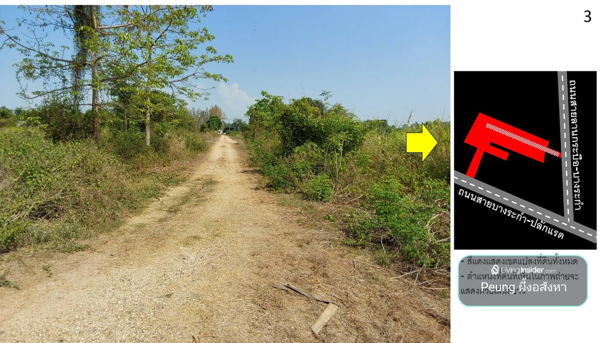 ที่ดินบางระกำ พิษณุโลก 25-0-95 ไร่ ติดถนนหลวงถึง 2 ด้าน (ถนน 1065, 1281)  โอกาสทองที่ไม่ควรพลาด!🚀 – รูปที่ 4