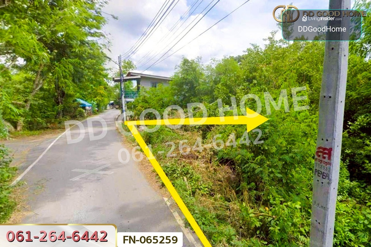 FN-065259 ที่ดินเกาะลอย 8 ไร่ 226 ตร.ว.พระนครศรีอยุธยา ใกล้สถานีรถไฟอยุธยา – รูปที่ 3