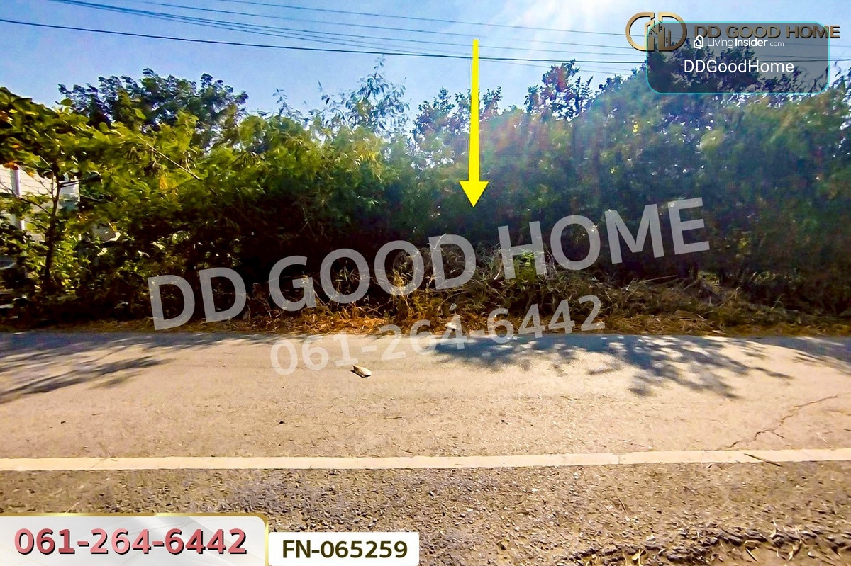 FN-065259 ที่ดินเกาะลอย 8 ไร่ 226 ตร.ว.พระนครศรีอยุธยา ใกล้สถานีรถไฟอยุธยา – รูปที่ 4