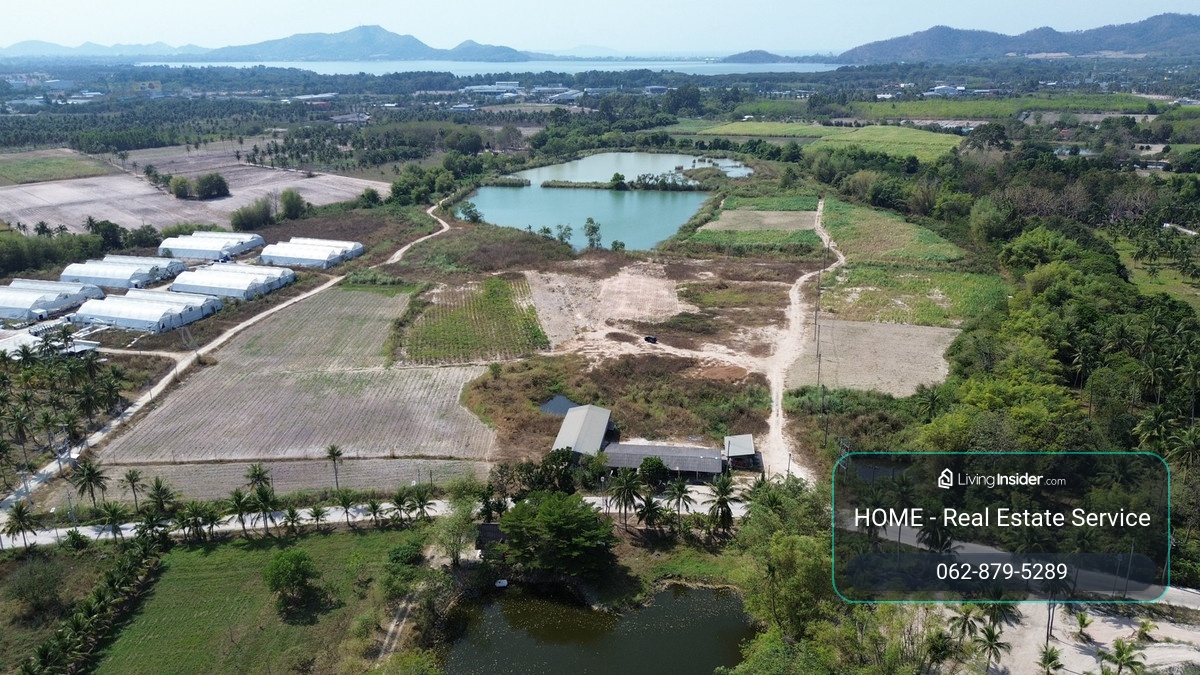 Land 20 rai Khao Khiao Bang Phra Chonburi Province / (For Sale), Land 20 rai Khao Khiao Bang Phra Chonburi Prov / (FOR SALE) YEAN116 – รูปที่ 4