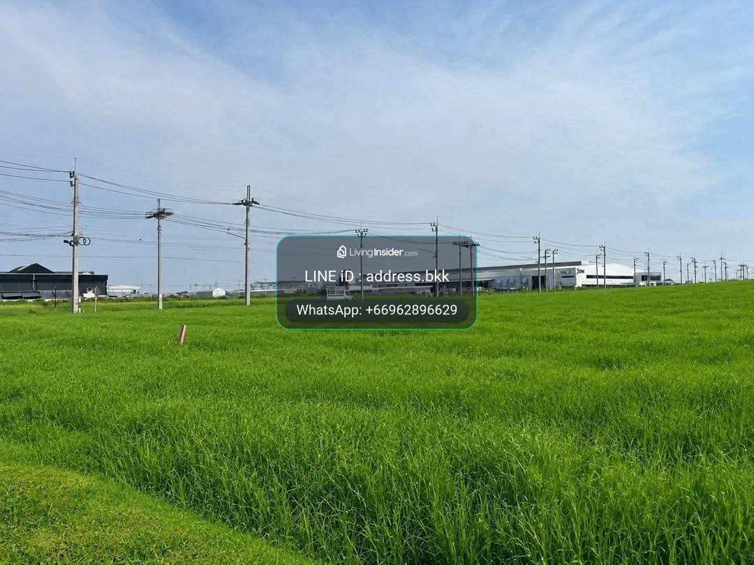 🏭Land for Sale 7–20 Rai📍 Industrial Estate, Samut Prakan ProvincePurple Zone (Industrial Use)🎯 Asking Price: THB 14,500,000 per rai🏭 – รูปที่ 2