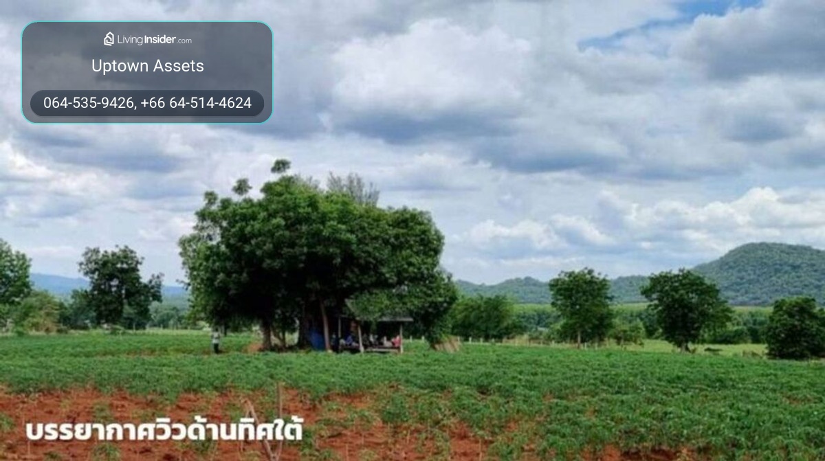ขายที่ดินภูเขาไฟ บ้านหนองสะแกสี่ ต.โคกสะอาด อ.ศรีเทพ จ.เพชรบูรณ์(ห่างทางหลวง หมายเลข21 8 กม.หรือ 15 นาทีจากตัวอำเภอ) – รูปที่ 4