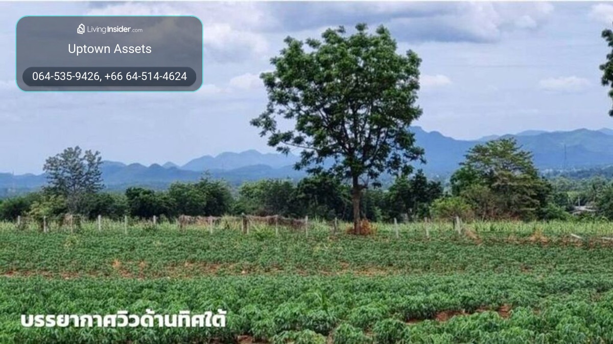 ขายที่ดินภูเขาไฟ บ้านหนองสะแกสี่ ต.โคกสะอาด อ.ศรีเทพ จ.เพชรบูรณ์(ห่างทางหลวง หมายเลข21 8 กม.หรือ 15 นาทีจากตัวอำเภอ) – รูปที่ 2