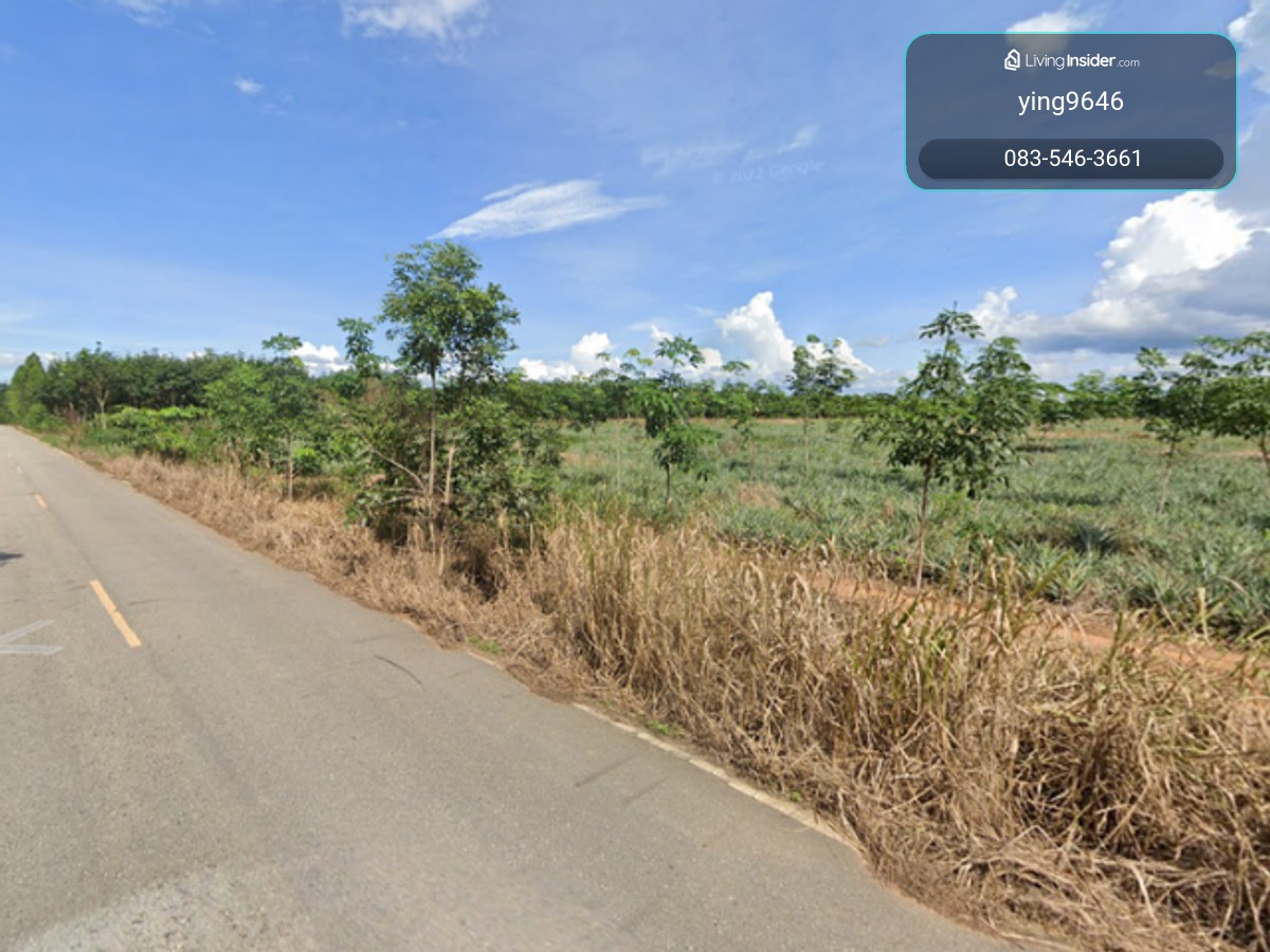  ที่ดินผืนใหญ่ 18 ไร่ ติดน้ำรอบด้าน อ.บ้านผือ จ.อุดรธานี  ราคาถูกเฉลี่ยหลักร้อยต่อตารางวา! – รูปที่ 3