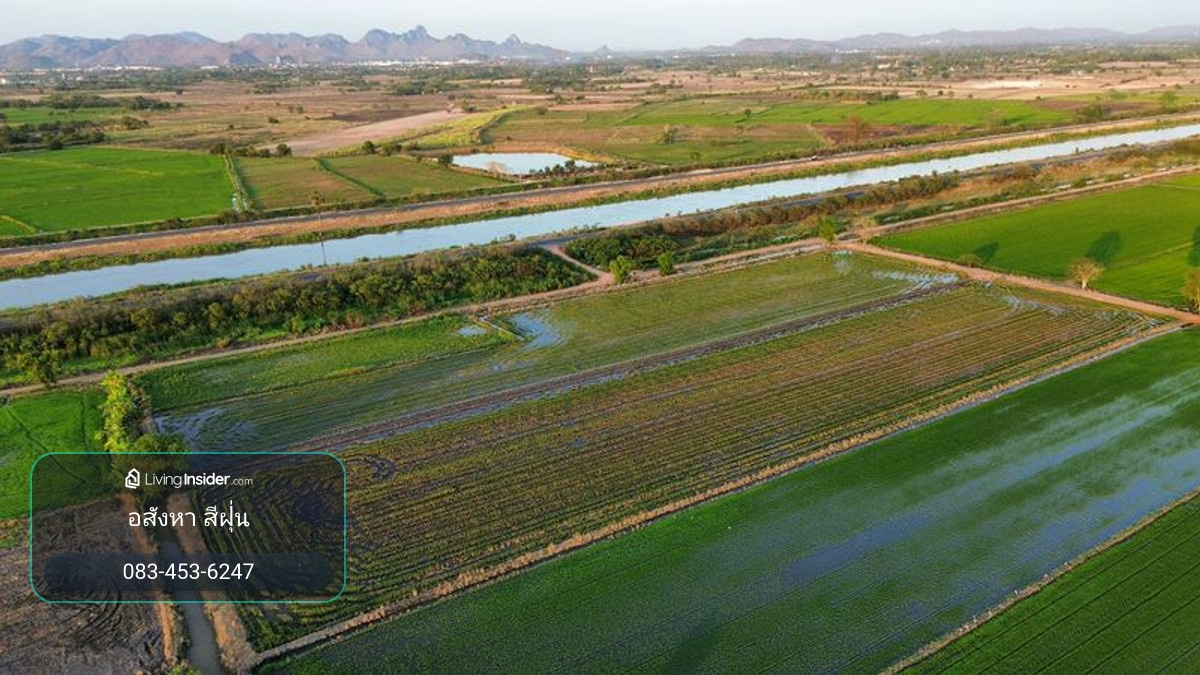 ที่นา 7 ไร่ แปลงสวย ติดคลองชลประทาน ที่นาแปลงจัดรูป มีน้ำใช้ทั้งปี น้ำไม่ท่วม ตำบลบ้านกลับ อำเภอหนองโดน จังหวัดสระบุรี – รูปที่ 4