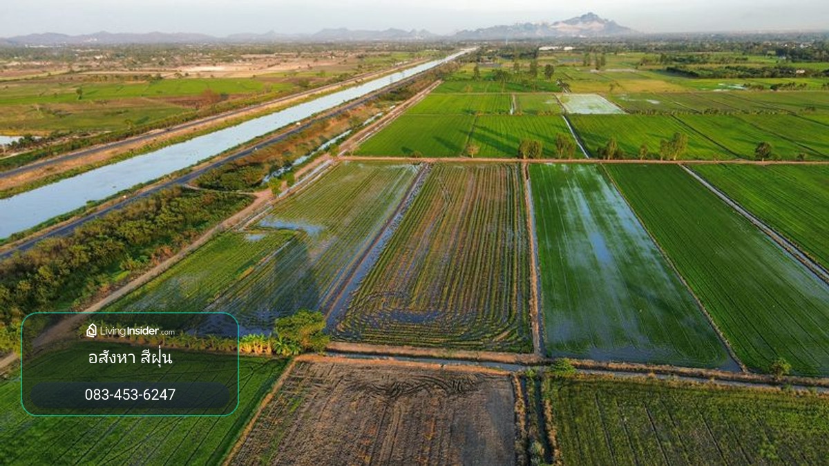 ที่นา 7 ไร่ แปลงสวย ติดคลองชลประทาน ที่นาแปลงจัดรูป มีน้ำใช้ทั้งปี น้ำไม่ท่วม ตำบลบ้านกลับ อำเภอหนองโดน จังหวัดสระบุรี – รูปที่ 2