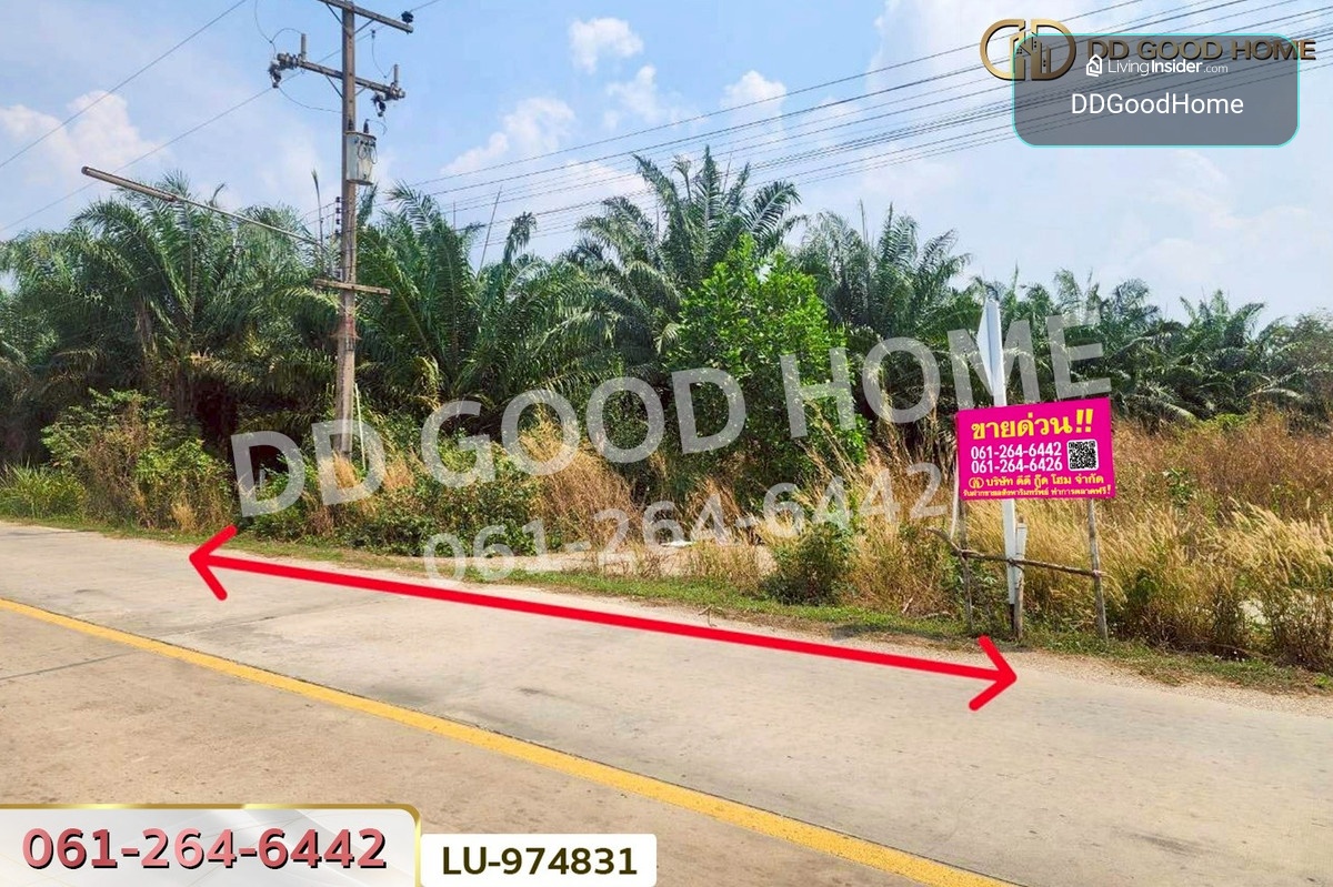 LU-974831 ที่ดินบ้านโค้งประดู่เทศบาล 5 เกาะจันทร์ 80 ตร.ว. ชลบุรี ใกล้ที่ว่าการอำเภอเกาะจันทร์ – รูปที่ 4