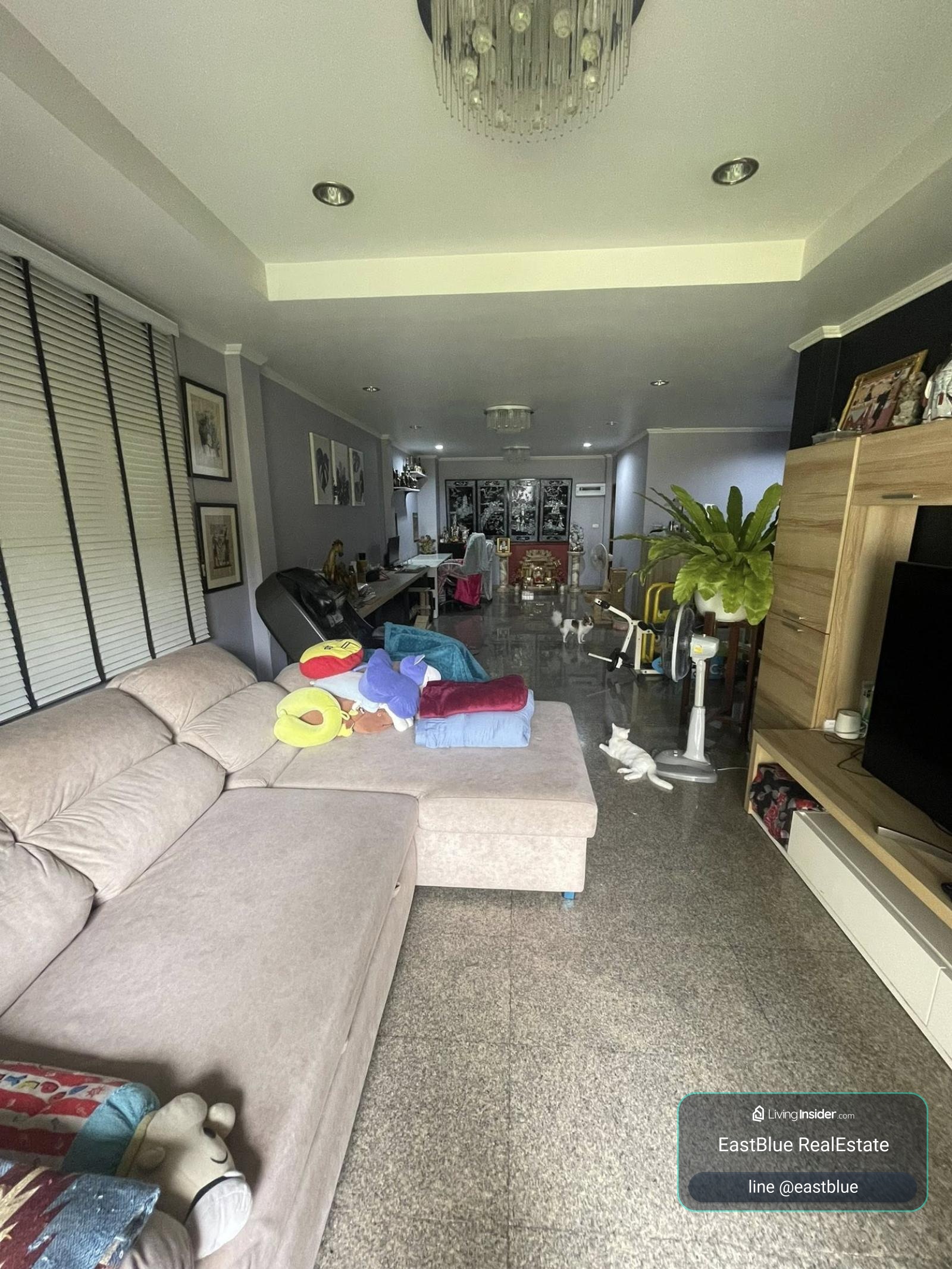 05/06/2026, บ้านหรู 6 ห้องนอน พื้นที่กว้าง 380 ตรม. พร้อมอยู่ในศุภาลัยออคิดปาร์ค 2 
ลดพิเศษเหลือ 9.9 ล้าน ใกล้ BTS บางหว้า เดินทางสะดวกมาก 0642748883 – รูปที่ 2