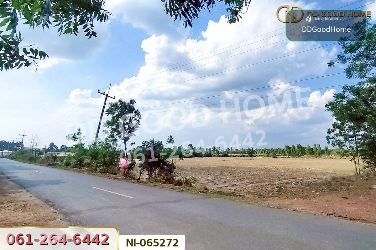 NI-065272 Land for sale in Khao Hin Son, 25 Rai 53 sq.w., Phanom Sarakham, Chachoengsao, near Wat Bunyaram Pu Chao Khao Khiao. – รูปที่ 4