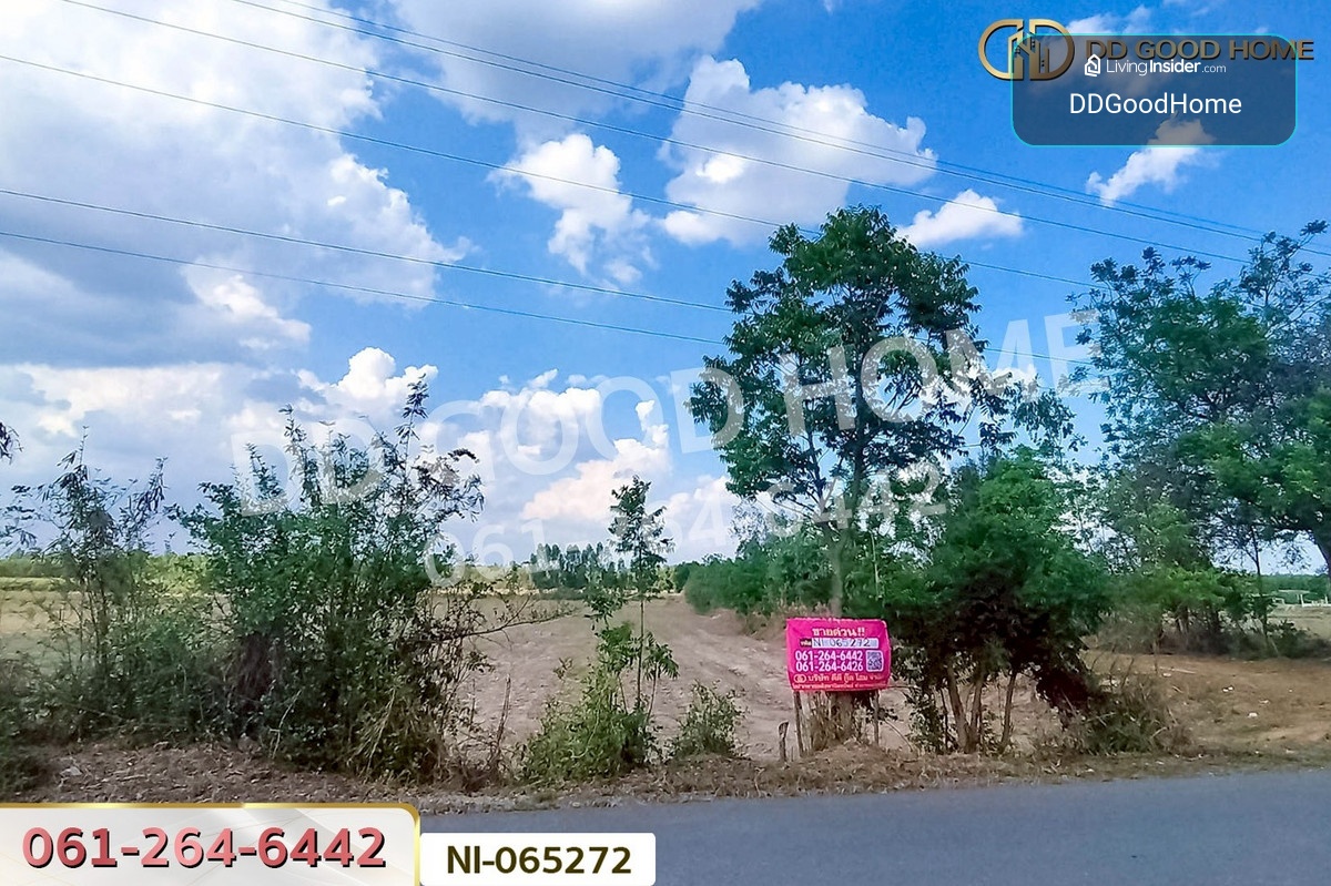 NI-065272 Land for sale in Khao Hin Son, 25 Rai 53 sq.w., Phanom Sarakham, Chachoengsao, near Wat Bunyaram Pu Chao Khao Khiao. – รูปที่ 3