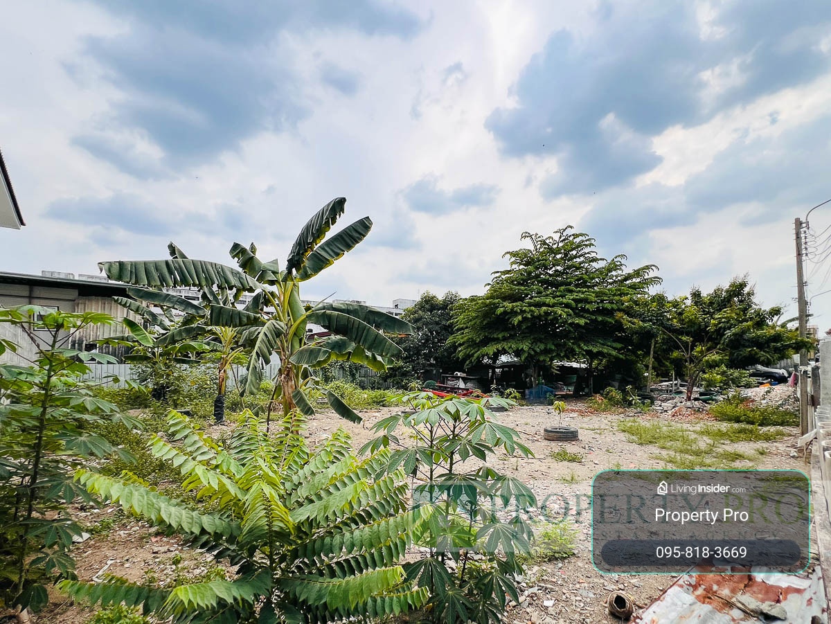 ขาย ที่ดิน พหลโยธิน 34 ขนาด 1 งาน 95 ตรว ใกล้ BTS เสนานิคม มหาวิทยาลัยเกษตรศาสตร์ เกษตรนวมินทร์ ลาดปลาเค้า ลาดพร้าววังหิน : MF26S-002 – รูปที่ 2