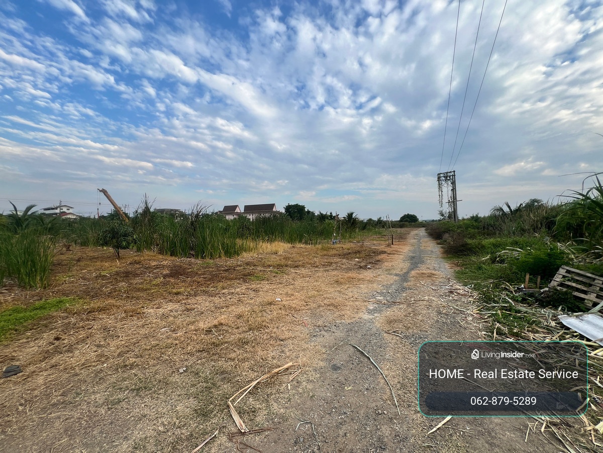 ที่ดิน ซอยลาดกระบัง 40/1 / (ขาย), Land Soi Lat Krabang 40/1 / (FOR SALE) BZD154 – รูปที่ 2