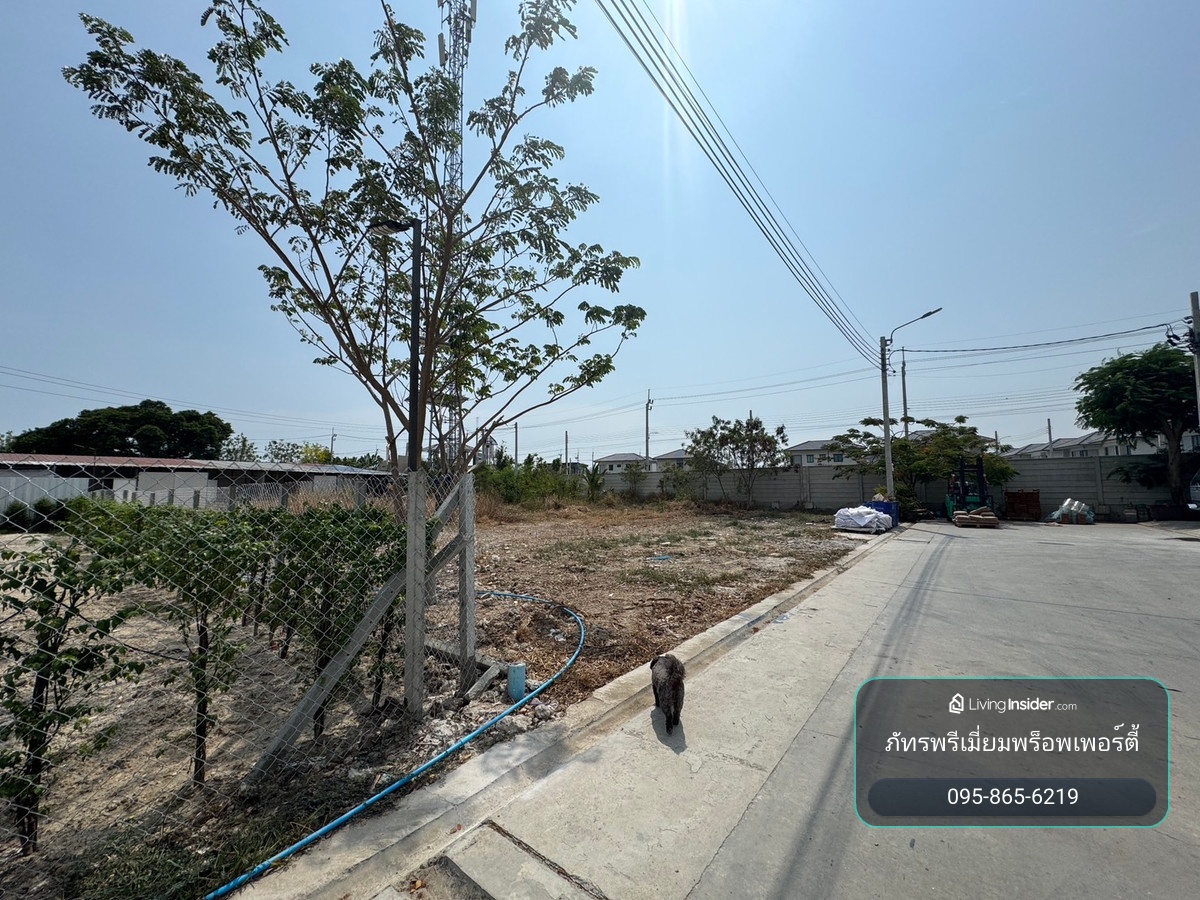 ขายที่ดินเปล่า 158.9 ตร.ว. บางปูใหม่ ถมแล้วพร้อมสร้างบ้าน  – รูปที่ 4