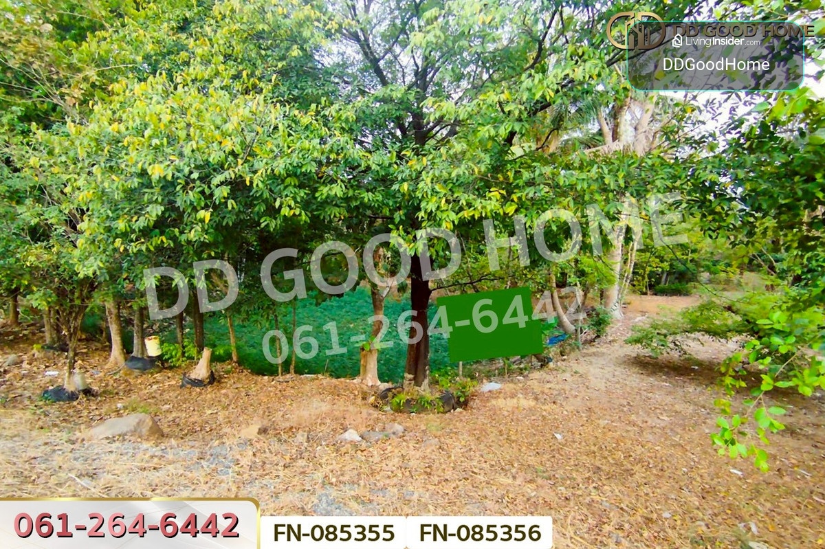 Land for sale in Khao Phoem, Nakhon Nayok, 3 rai and 156.1 sq.wah, near Pinto Cafe. FN-085355 – รูปที่ 3