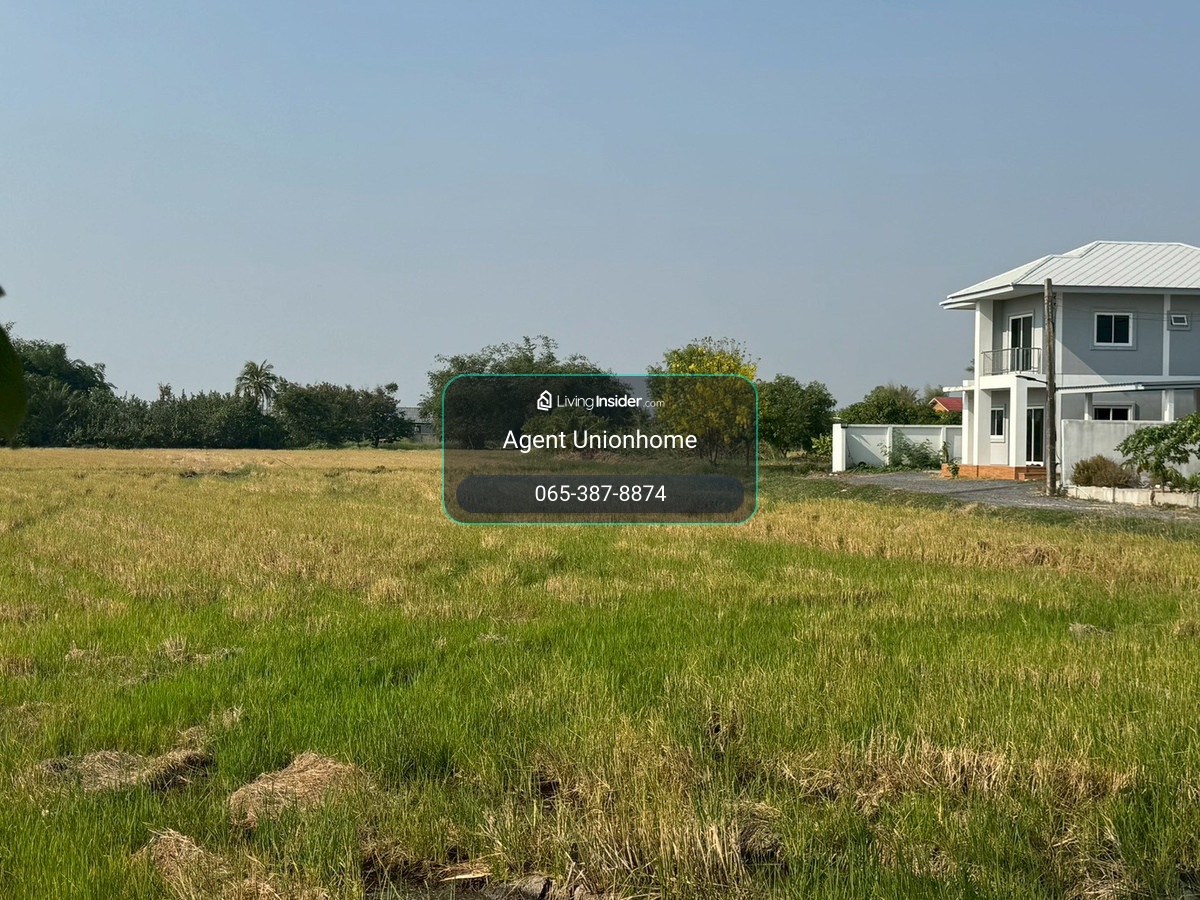 Beautiful land for sale, Soi Yuwittaya, Nong Chok, open view, good price **lower than the market** (N.2073) – รูปที่ 4
