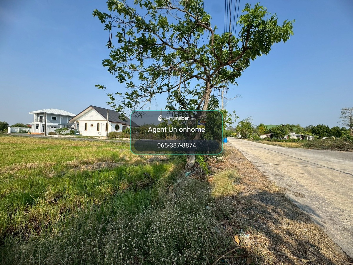 Beautiful land for sale, Soi Yuwittaya, Nong Chok, open view, good price **lower than the market** (N.2073) – รูปที่ 2