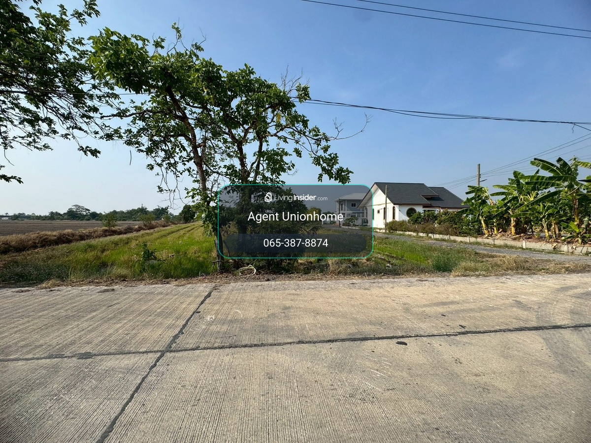 Beautiful land for sale, Soi Yuwittaya, Nong Chok, open view, good price **lower than the market** (N.2073) – รูปที่ 3