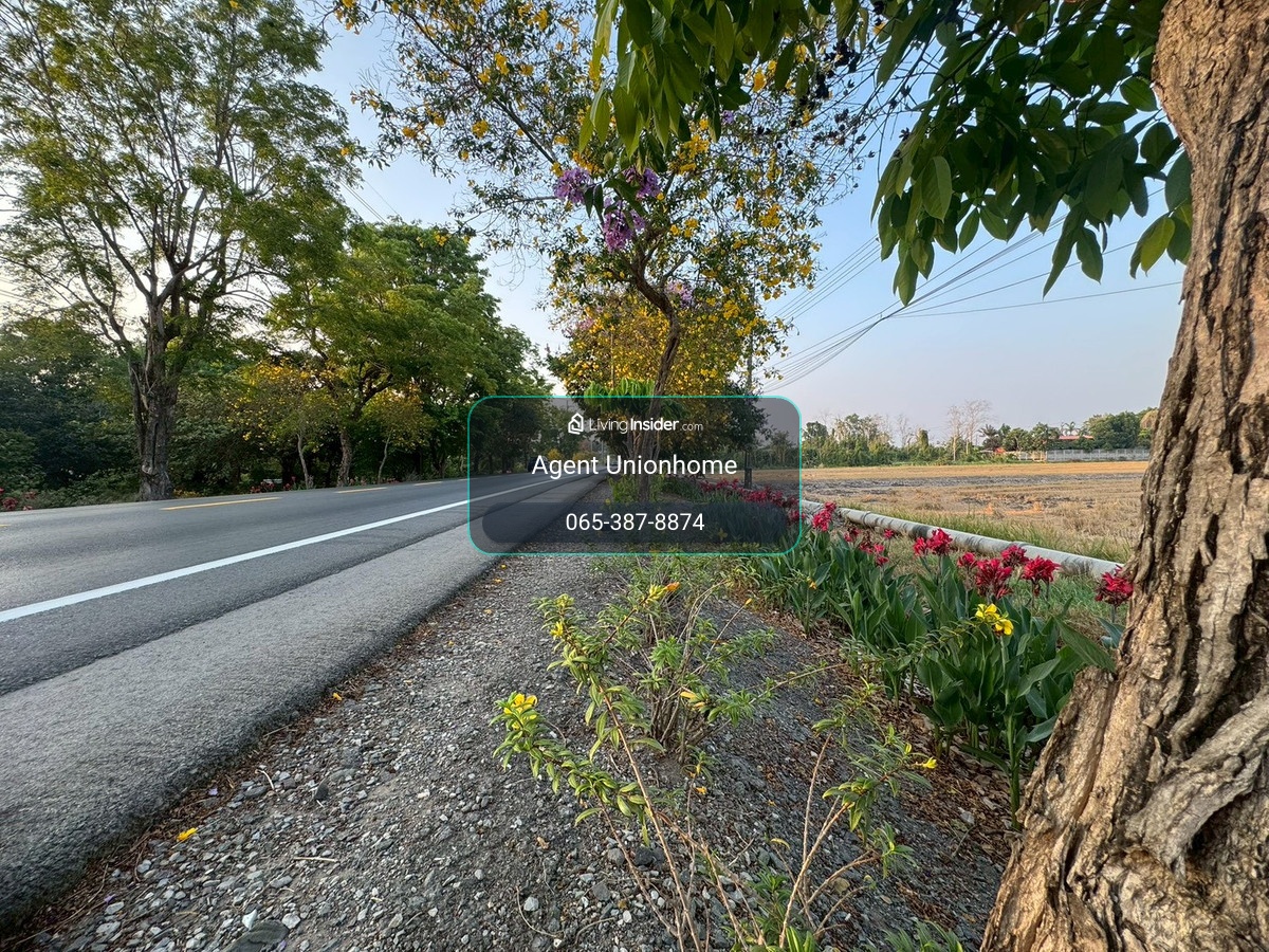 Large plot of land for sale, 86 rai, next to Pracha Samran Road. **Selling at an appraised price lower than the market** (N.2074) – รูปที่ 2