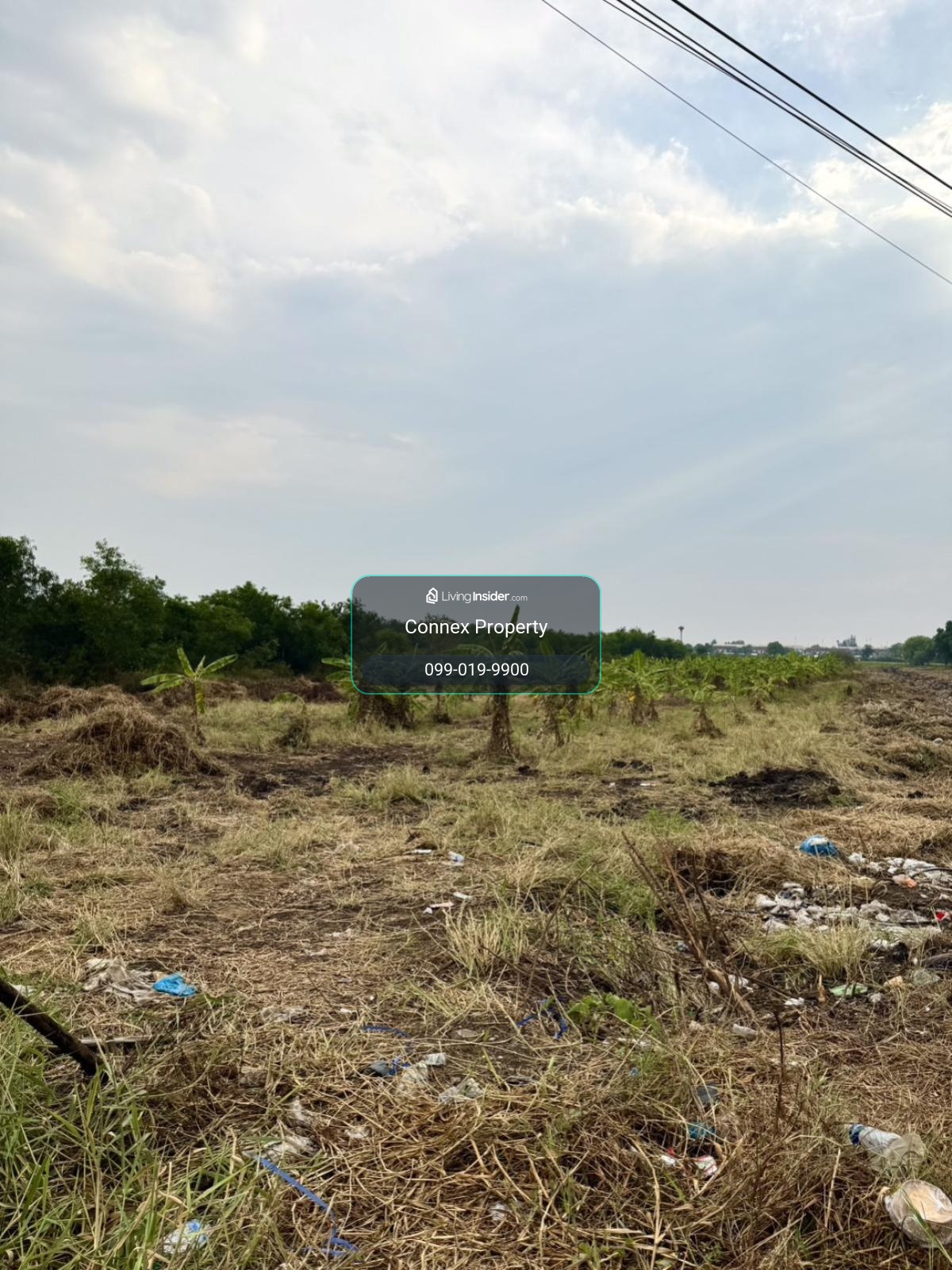 For Sale Main road M9 , Khu Bang Luang , Lat Lum Kaeo , Pathum Thani , CX-151623 – รูปที่ 3