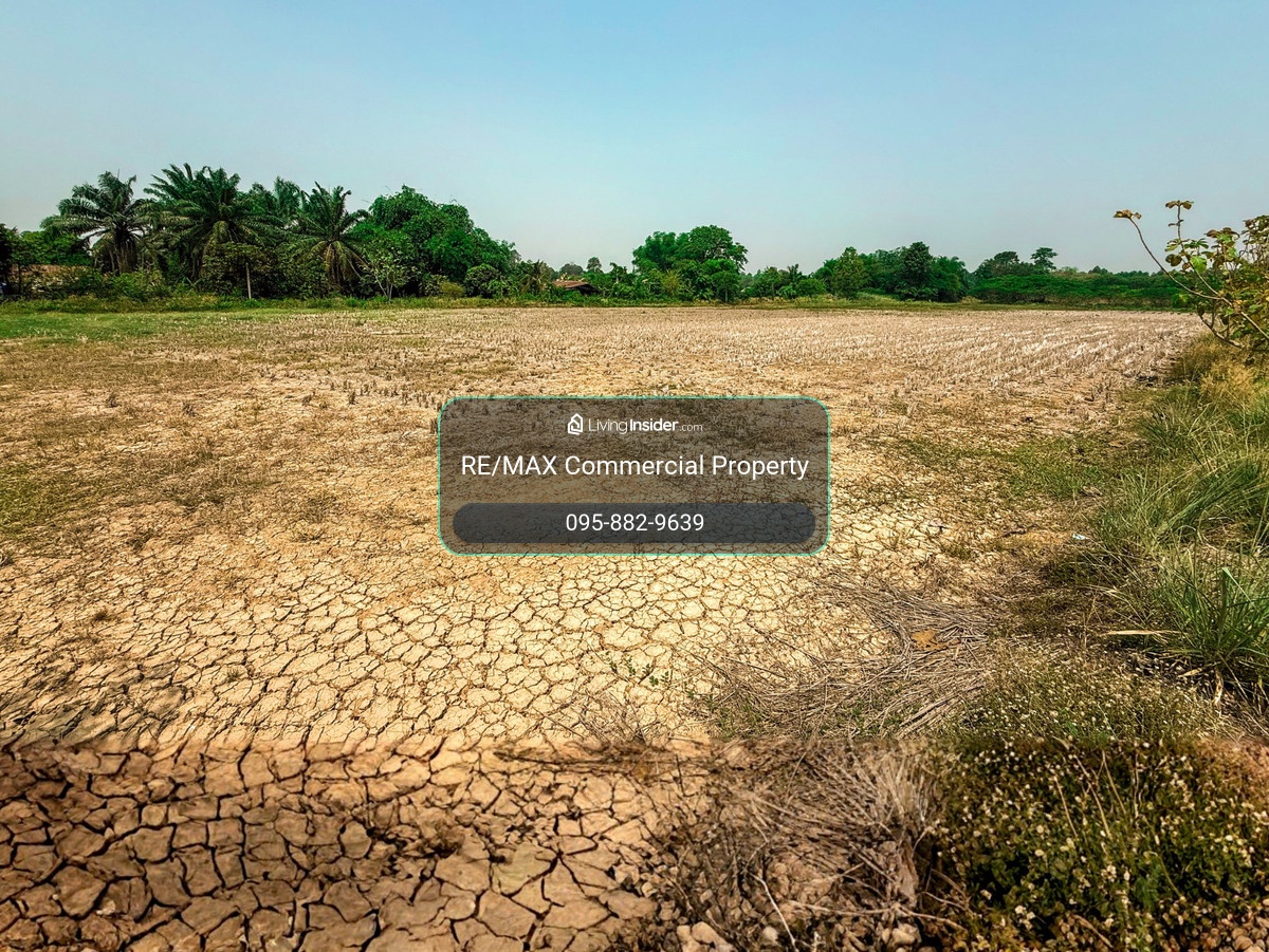Large Agricultural Land for Sale, Soi Wat Sri Yothin, Kamphaeng Phet – รูปที่ 3