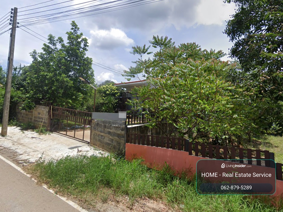 Land Pak Chong / (For Sale), Land Pak Chong / (FOR SALE) TPM399 – รูปที่ 3