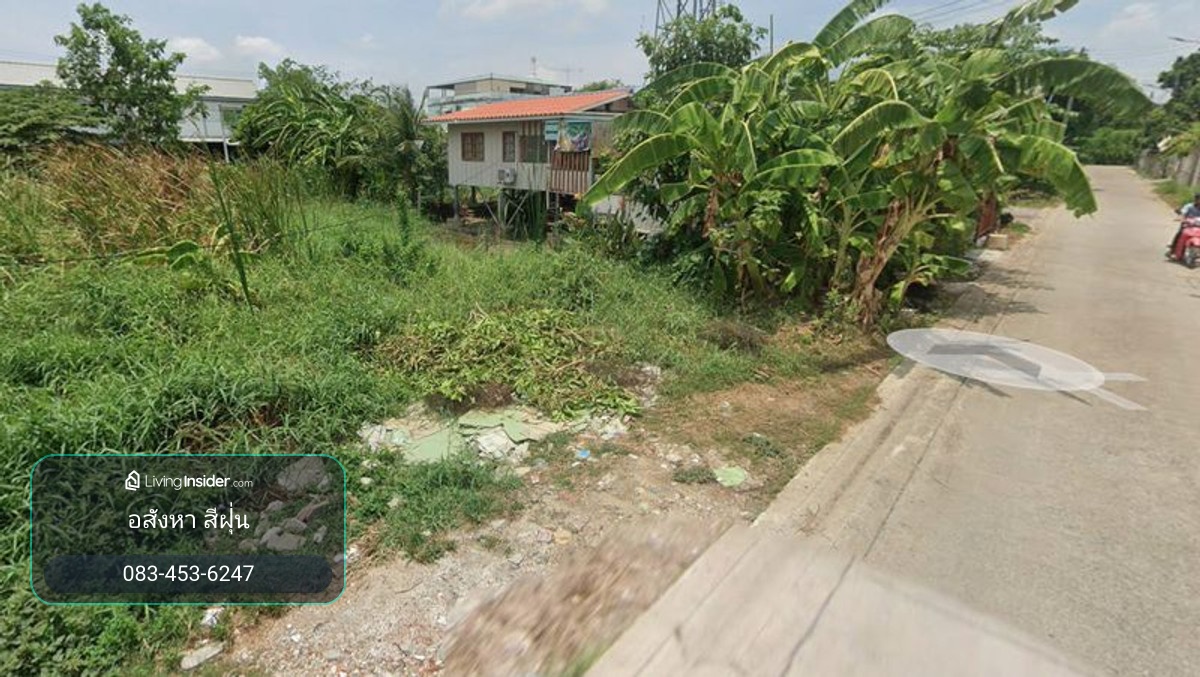 Empty land for sale, 100 square wah, Soi Phetkasem 91, Om Noi Subdistrict, Krathum Baen District. Samut Sakhon Province – รูปที่ 4