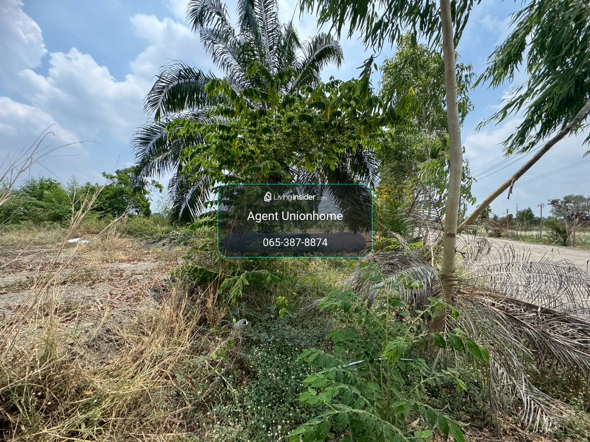 ขายที่ดินสวย ถมแล้วพร้อมใช้ ซอยสุวินทวงศ์47 **เพียง 800,000 บาท** ราคาดี เหมาะลงทุน🏡 (N.2095) – รูปที่ 2