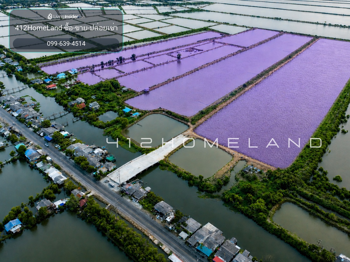 High potential land for sale, 96-2-85 rai, purple pattern, suitable for a factory / warehouse, selling for 6 million baht per rai, Bang Bo, Samut Prakan. – รูปที่ 2