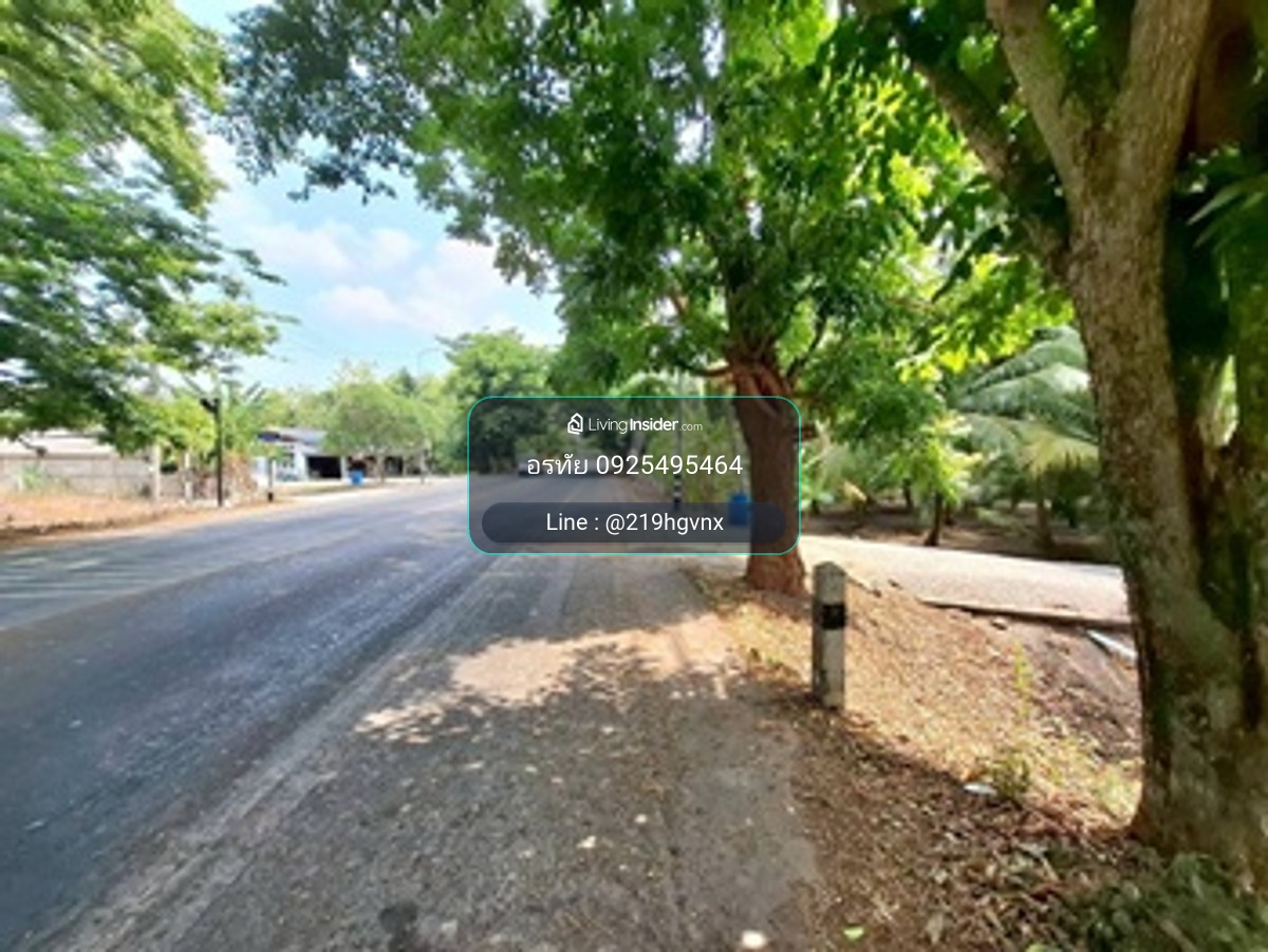 Urgent sale! Land with house, garden, waterfront Classic half-building, half-timbered house, prime location, Wat Phleng Subdistrict, Ratchaburi Province, price 15,000,000 baht. – รูปที่ 3